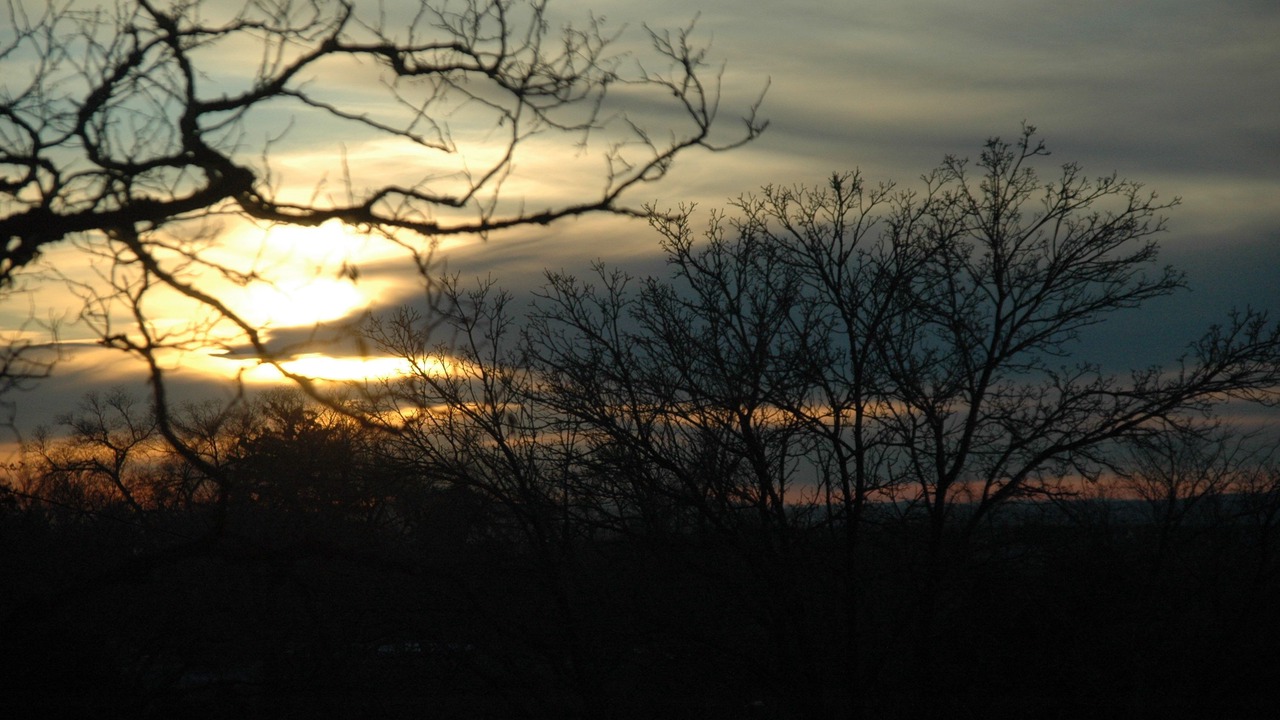 Photo of Outdoor in Northeast Santa Fe