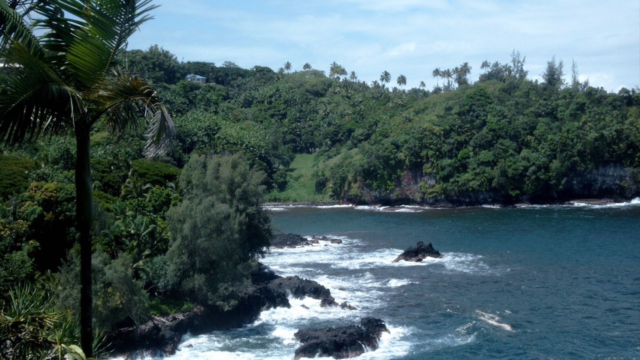 Photo of Outdoor in Hilo