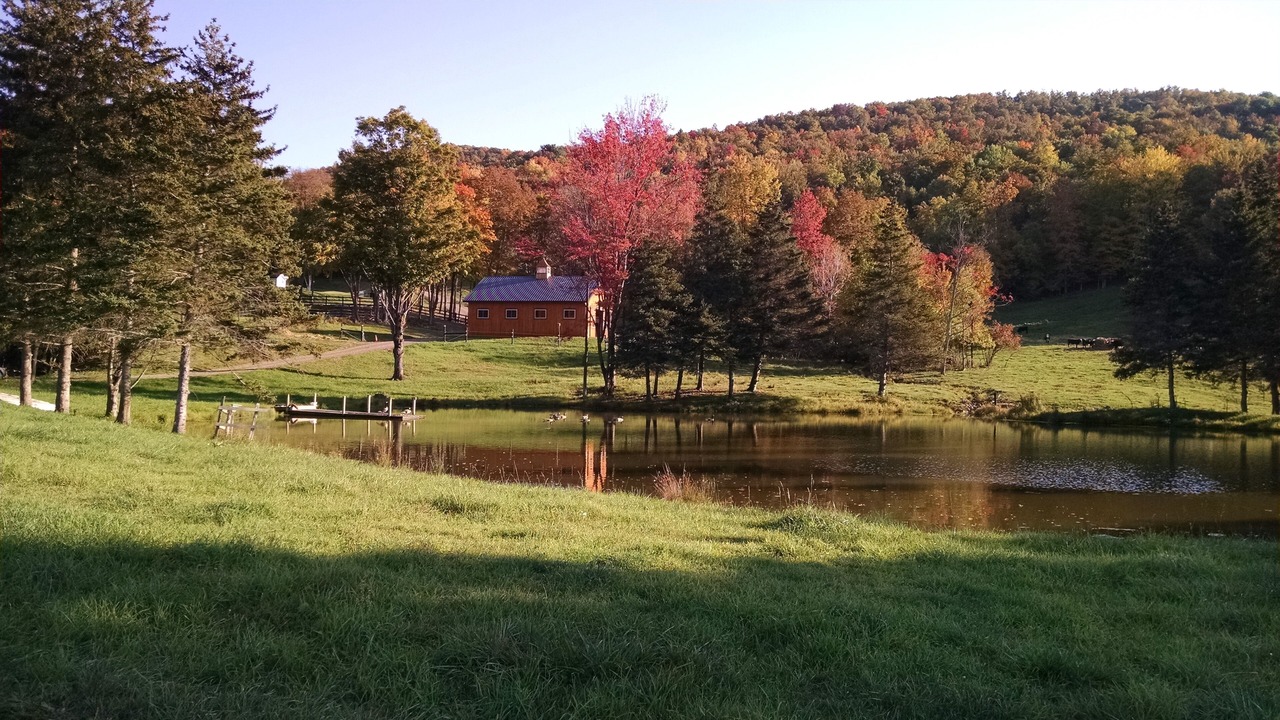 Photo of Others in Oneonta