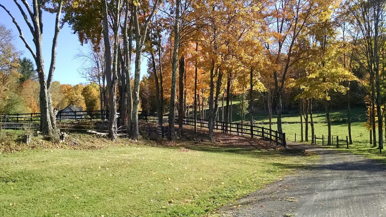 Photo of Others in Oneonta