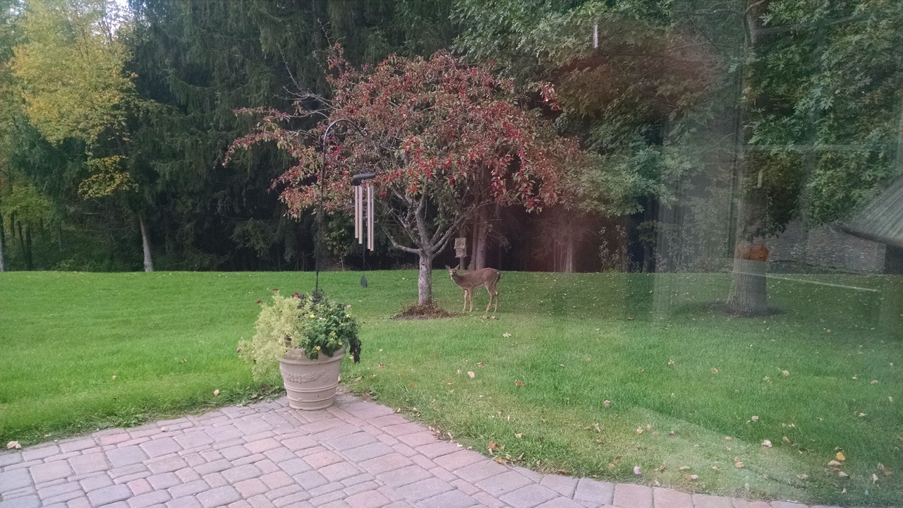 Photo of Outdoor in Oneonta