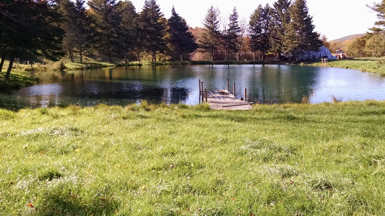 Photo of Outdoor in Oneonta