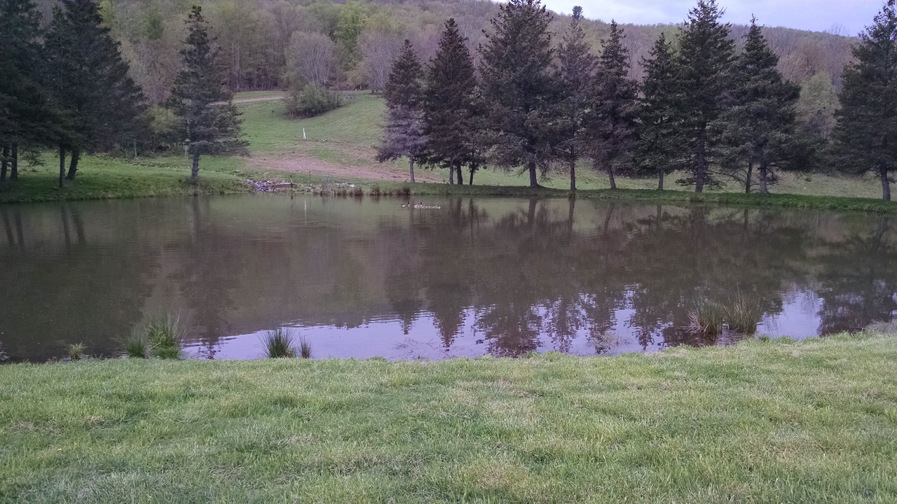 Photo of Others in Oneonta