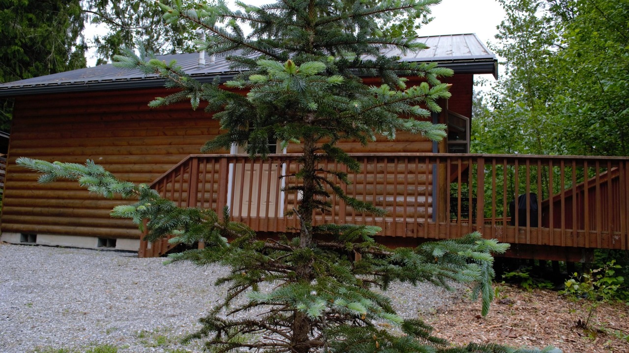 Photo of Outdoor in Glacier