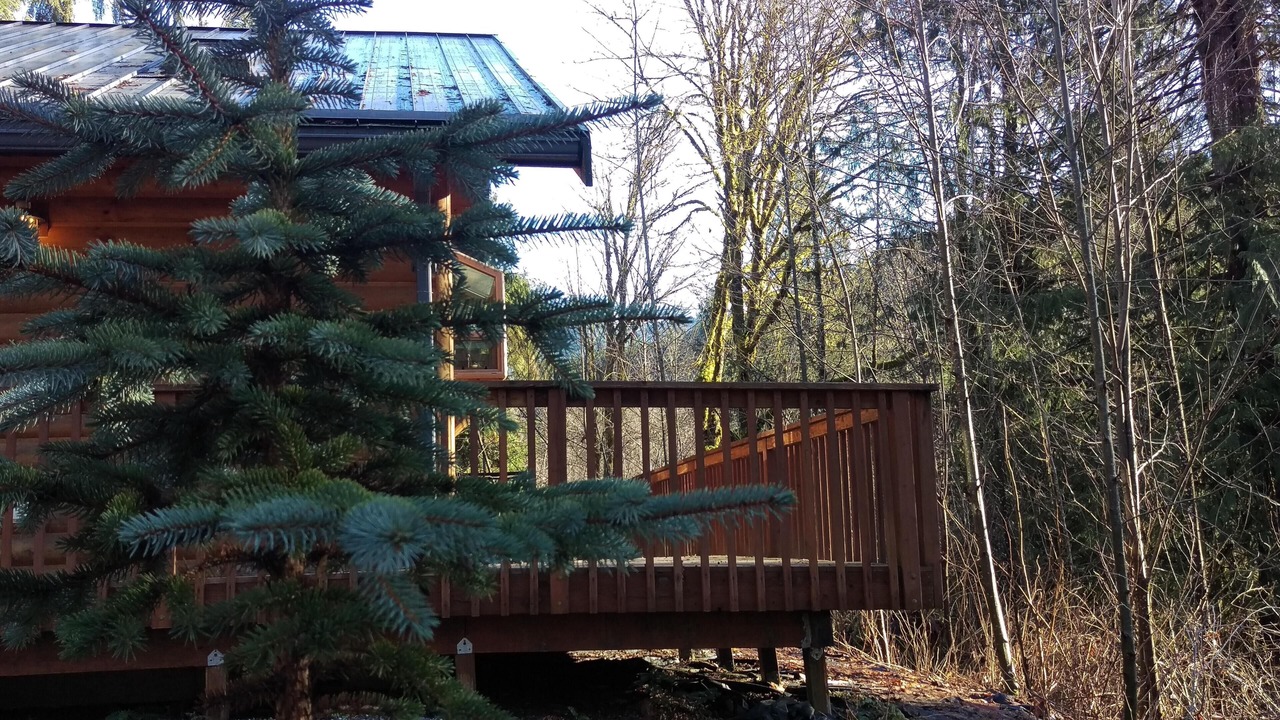 Photo of Others in Glacier