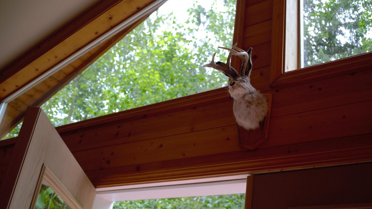 Photo of Others in Glacier