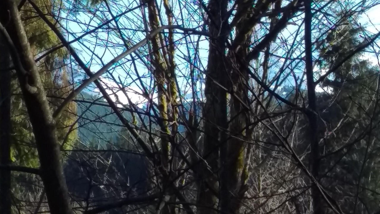 Photo of Others in Glacier