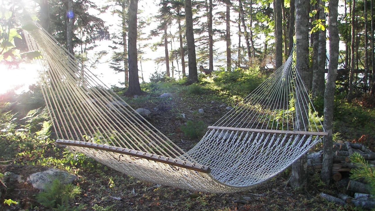 Photo of Outdoor in Franklin