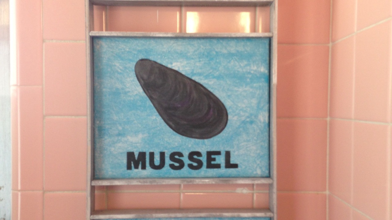 Photo of Others in Mattapoisett Center