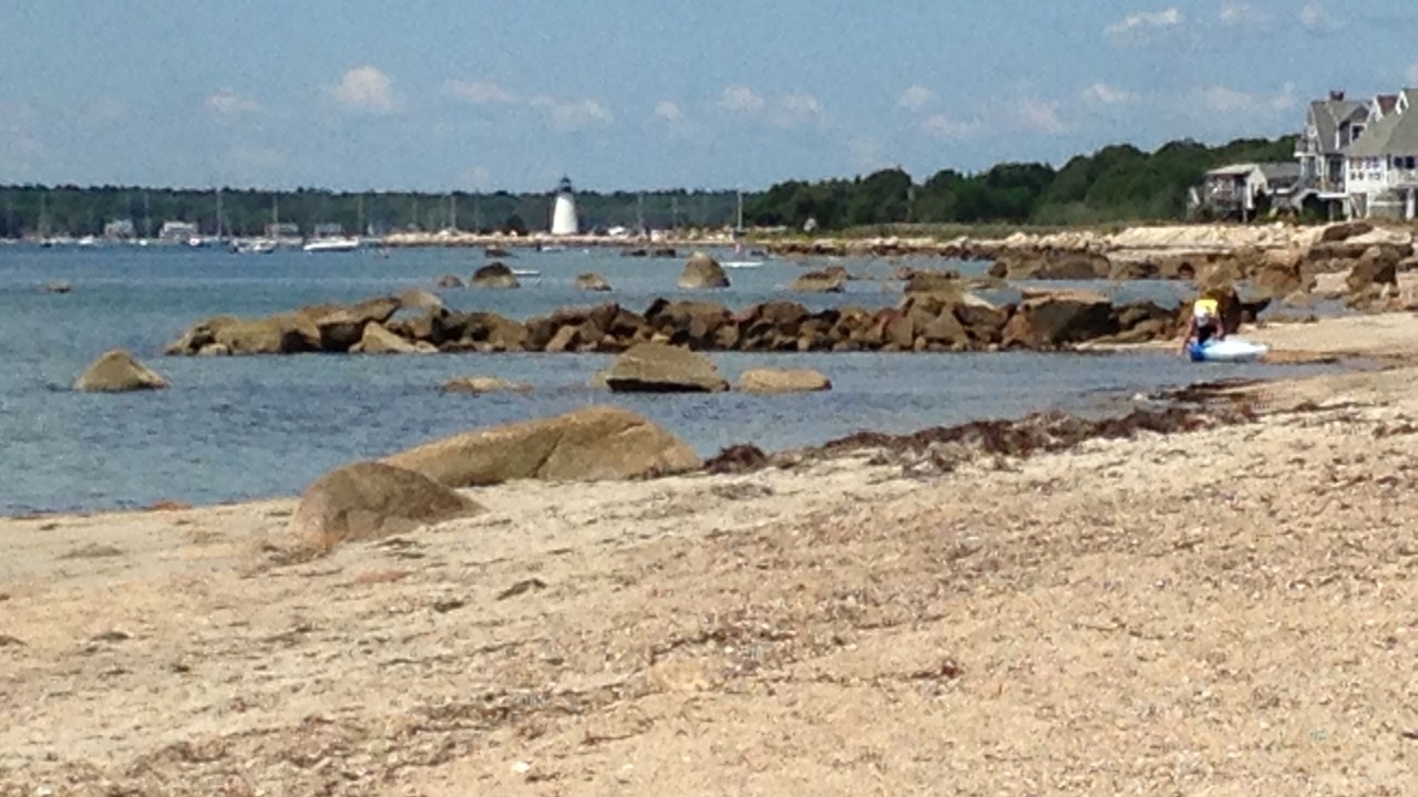 Photo of Others in Mattapoisett Center