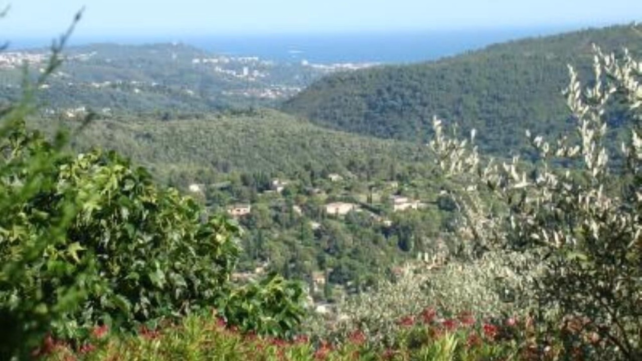 Photo of Others in Cabris