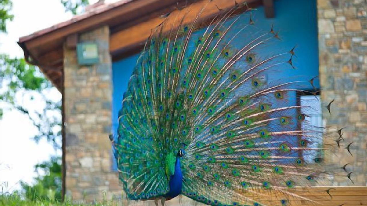 Photo of Outdoor in Sant Joan de Les Abadesses