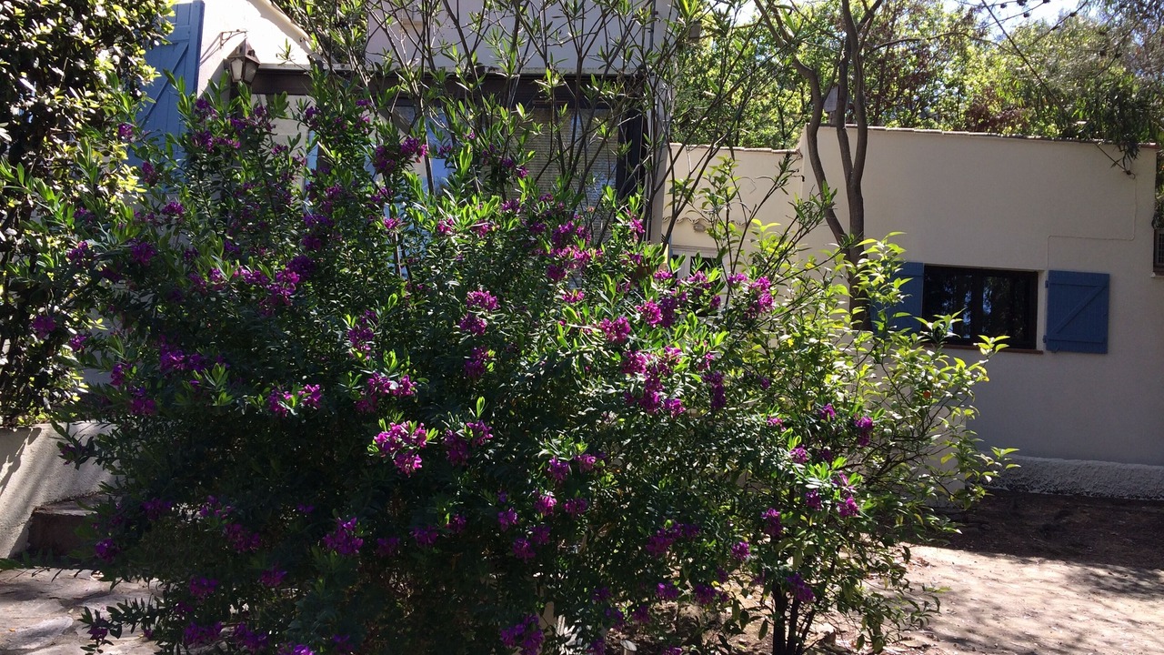 Photo of Outdoor in La Seyne-sur-Mer