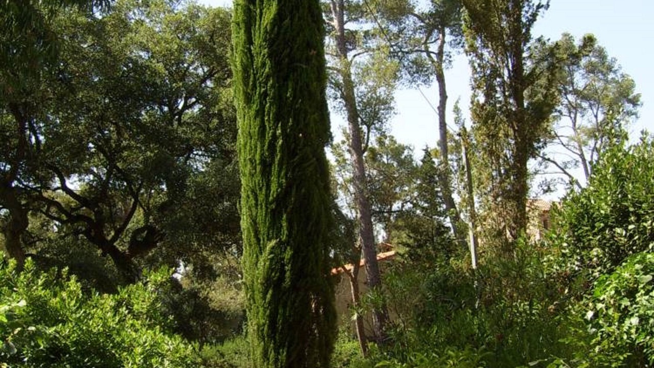 Photo of Outdoor in La Seyne-sur-Mer