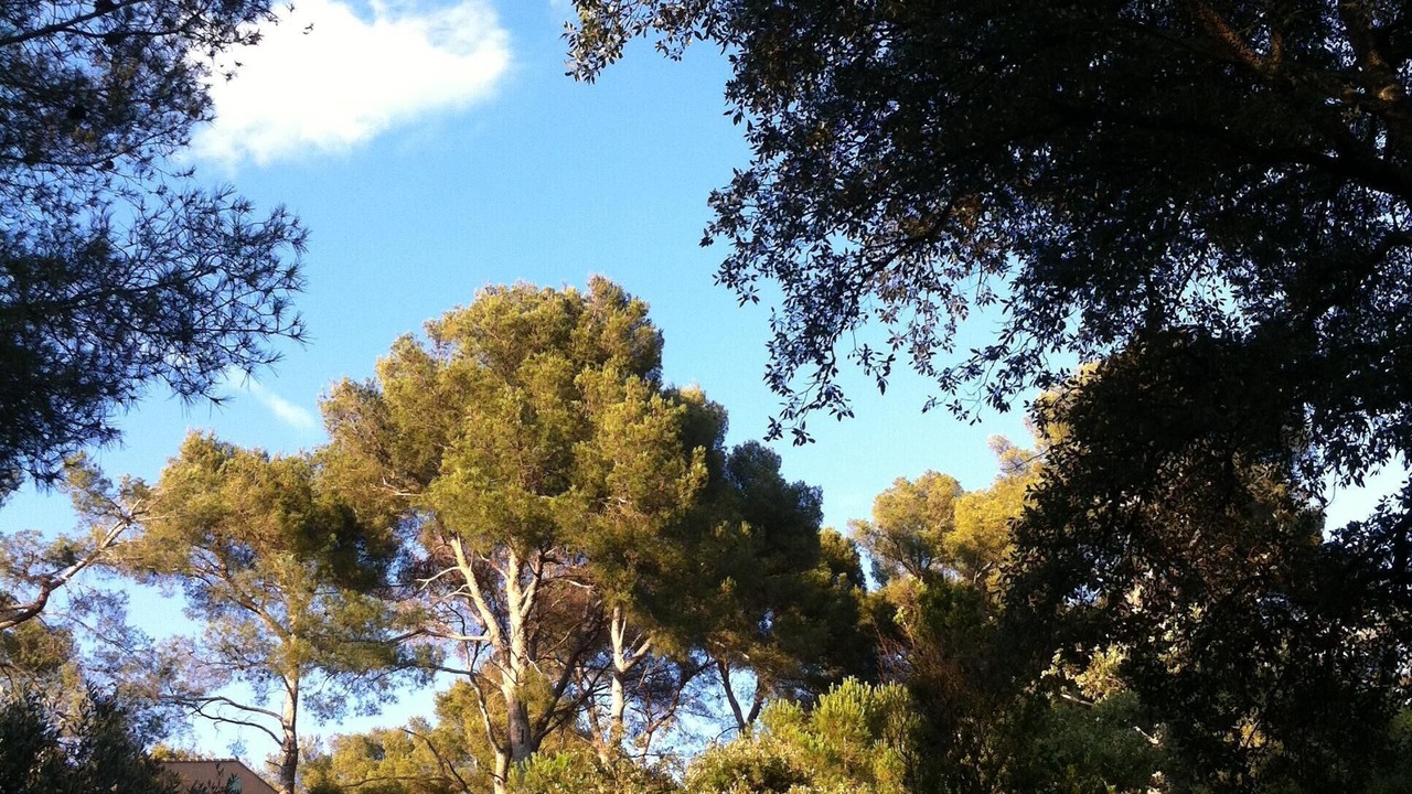 Photo of Outdoor in La Seyne-sur-Mer
