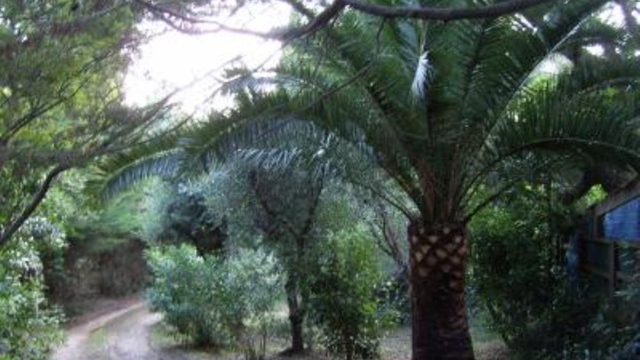 Photo of Outdoor in La Seyne-sur-Mer