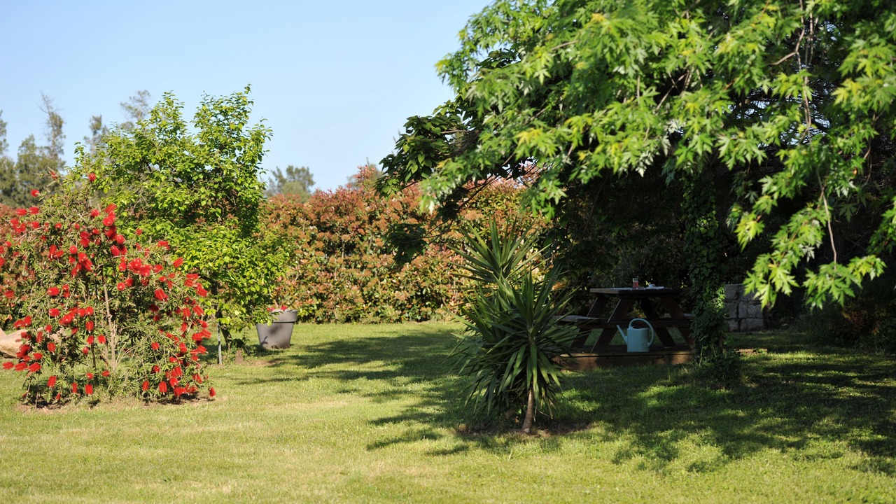 Photo of Outdoor in Ventiseri