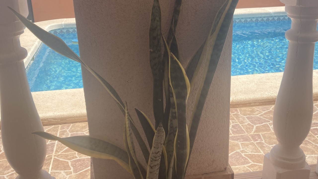 Photo of Outdoor in Los Montesinos
