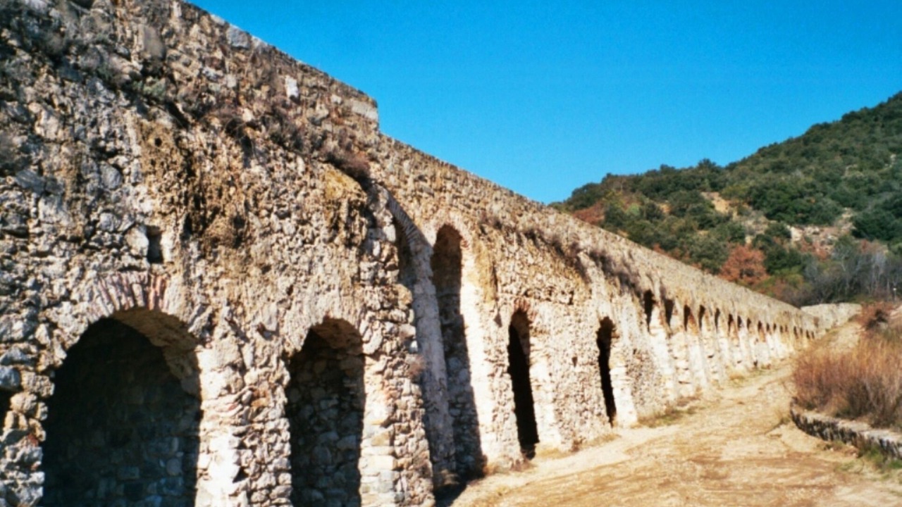 Photo of Others in Fosse