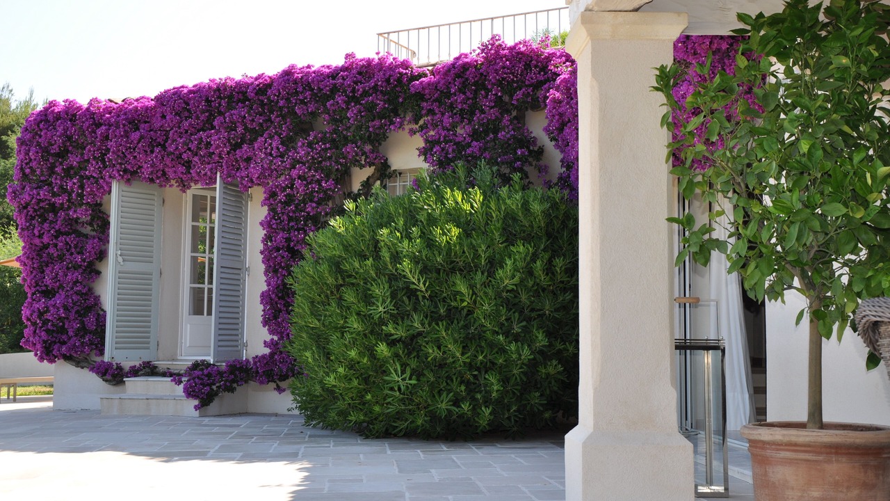 Photo of Outdoor in La Nartelle