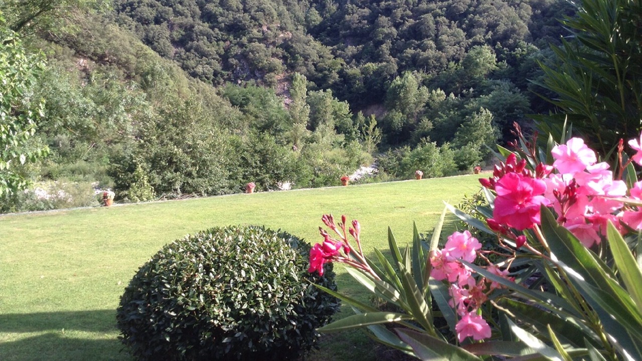 Photo of Outdoor in Peyrolles