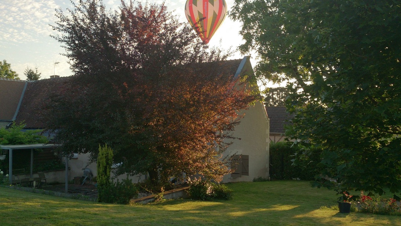 Photo of Outdoor in Civray-de-Touraine