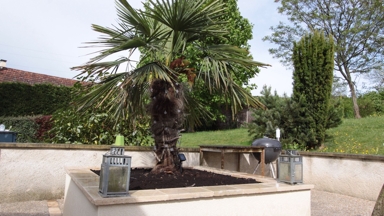 Photo of Outdoor in Civray-de-Touraine