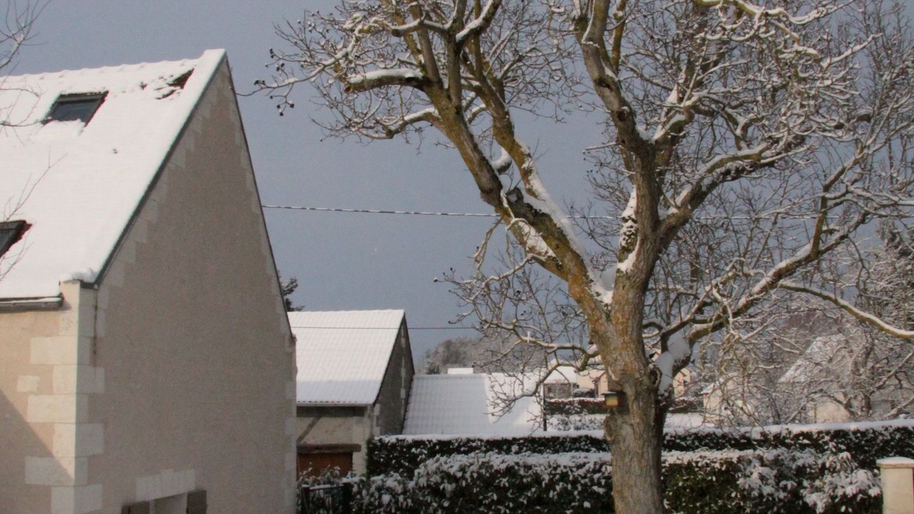 Photo of Outdoor in Civray-de-Touraine