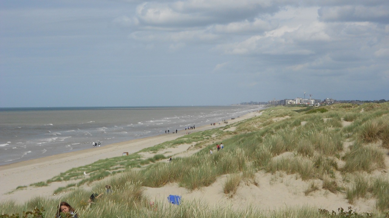 Photo of Others in Bray-Dunes