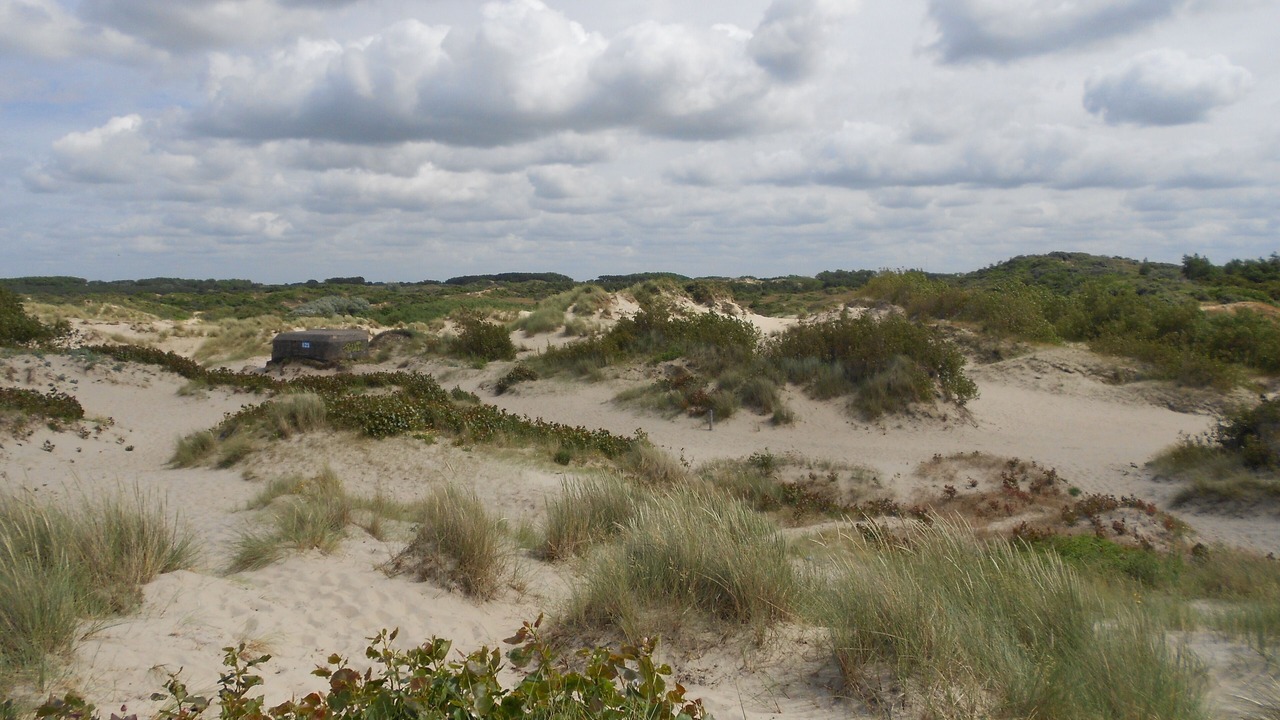 Photo of Others in Bray-Dunes