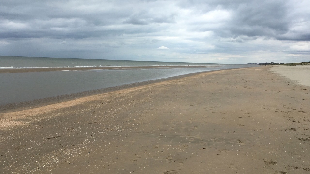 Photo of Others in Bray-Dunes