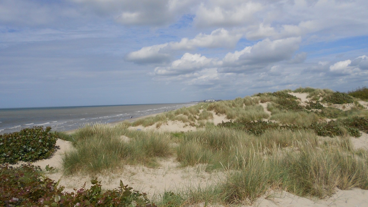 Photo of Others in Bray-Dunes