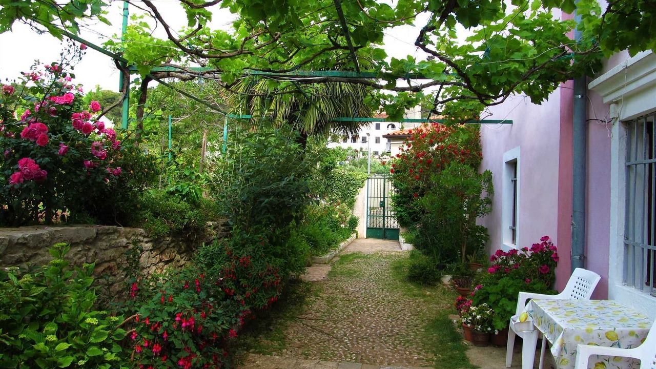 Photo of Outdoor in Veli Losinj