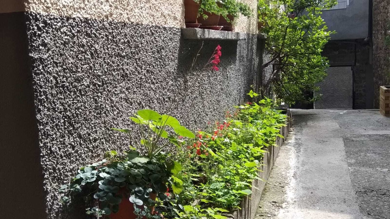Photo of Outdoor in Torla-Ordesa