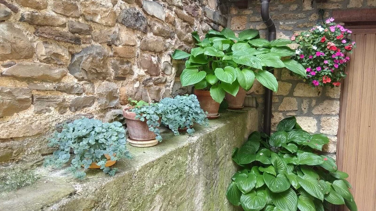 Photo of Outdoor in Torla-Ordesa