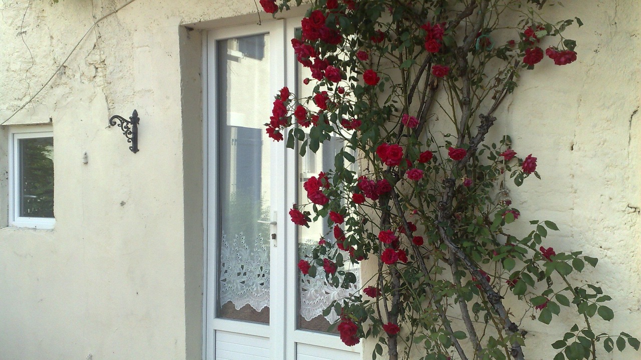 Photo of Others in Vouvant