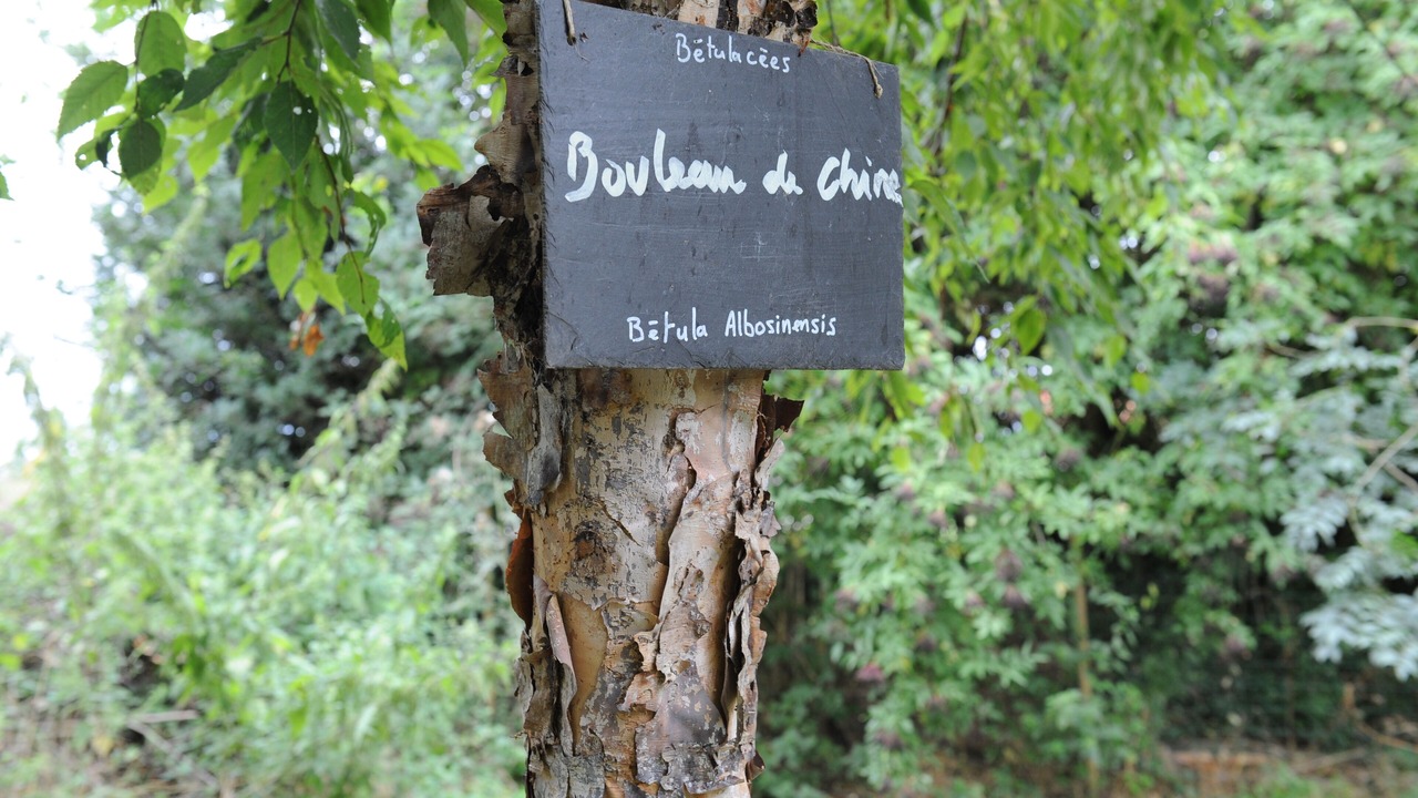 Photo of Outdoor in Gonneville-sur-Scie