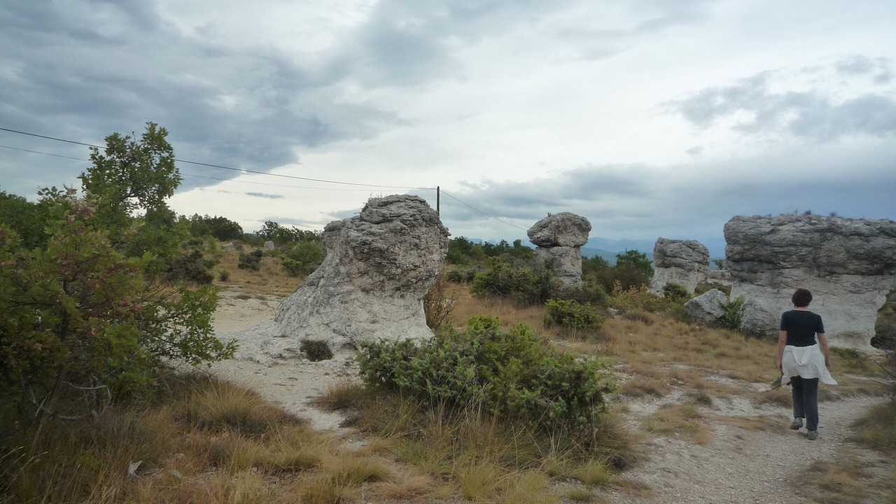 Photo of Others in Forcalquier