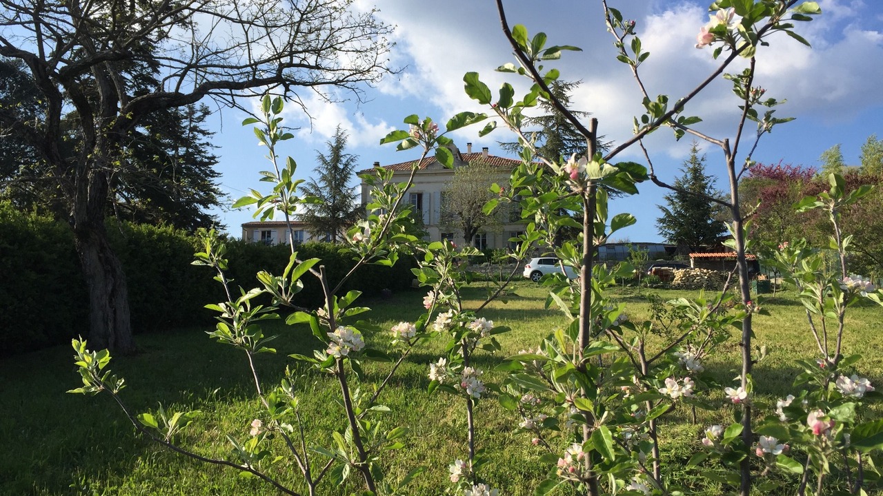 Photo of Outdoor in Forcalquier