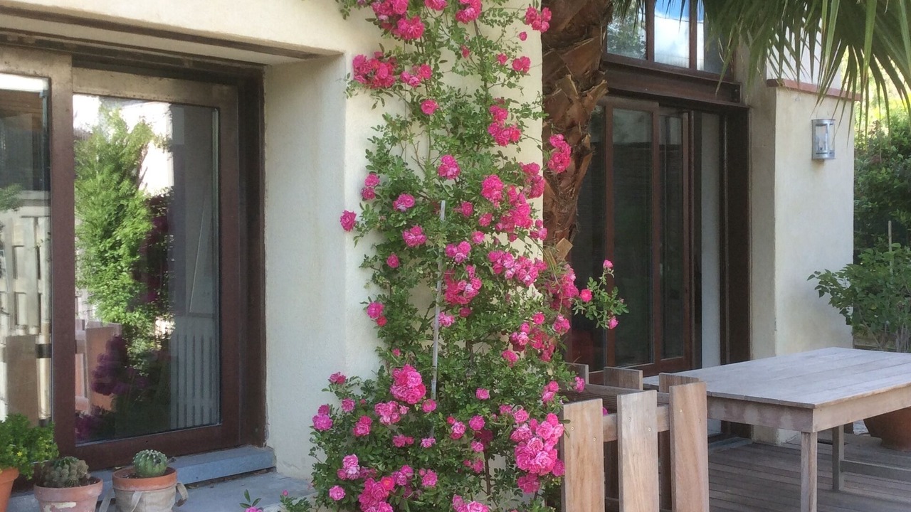Photo of Outdoor in Boutonnet