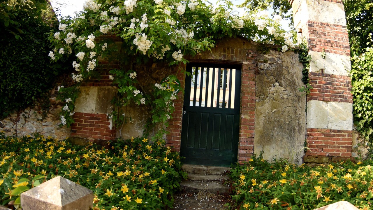 Photo of Outdoor in Le Plessis-Dorin