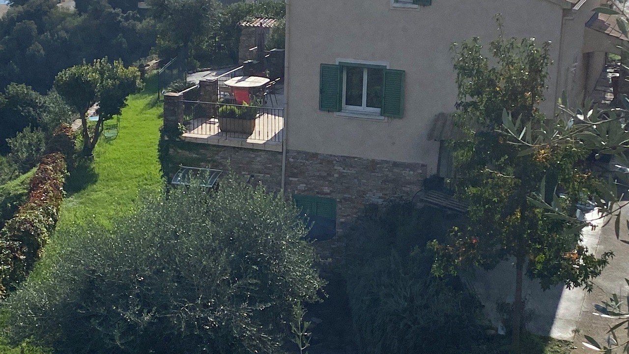 Photo of Others in Cardo