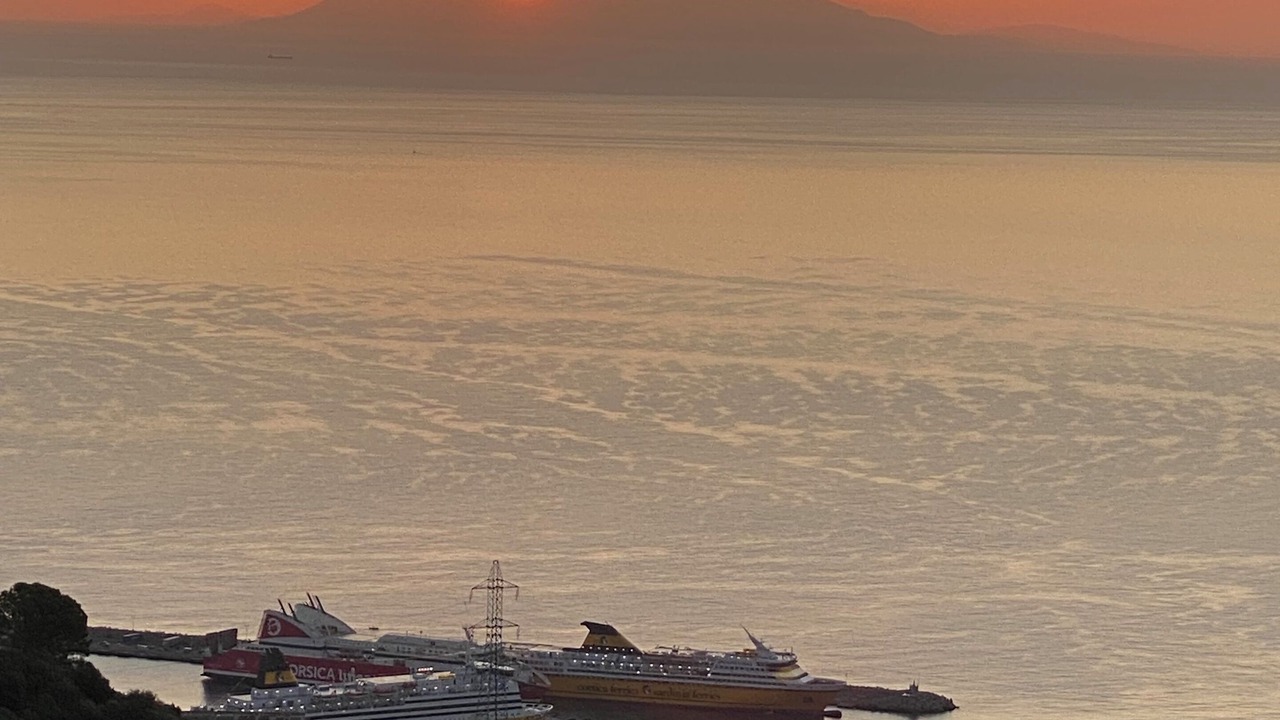 Photo of Others in Cardo