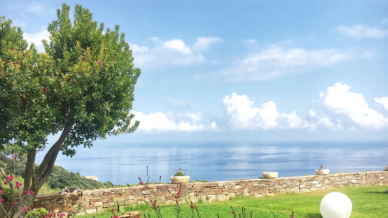 Photo of Outdoor in Cardo