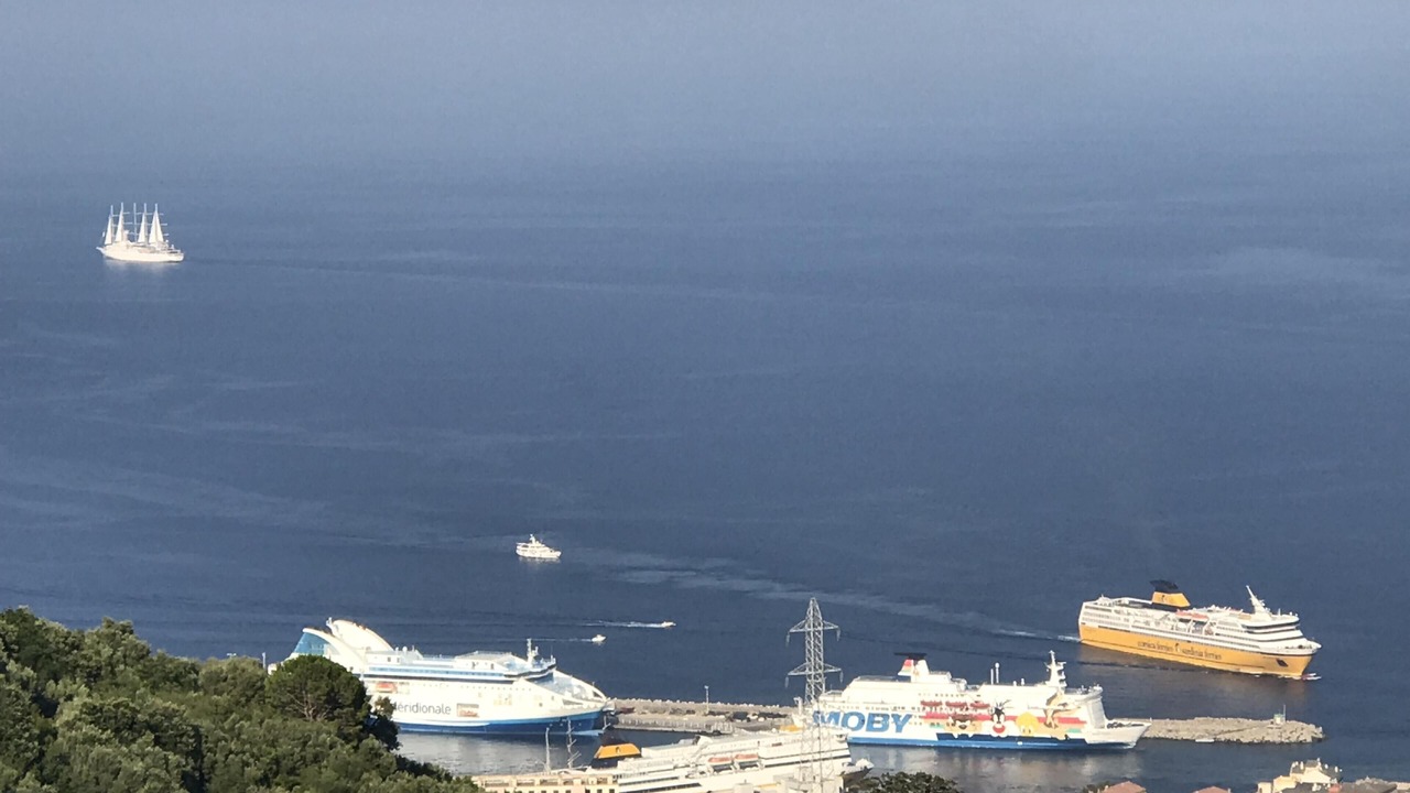 Photo of Others in Cardo