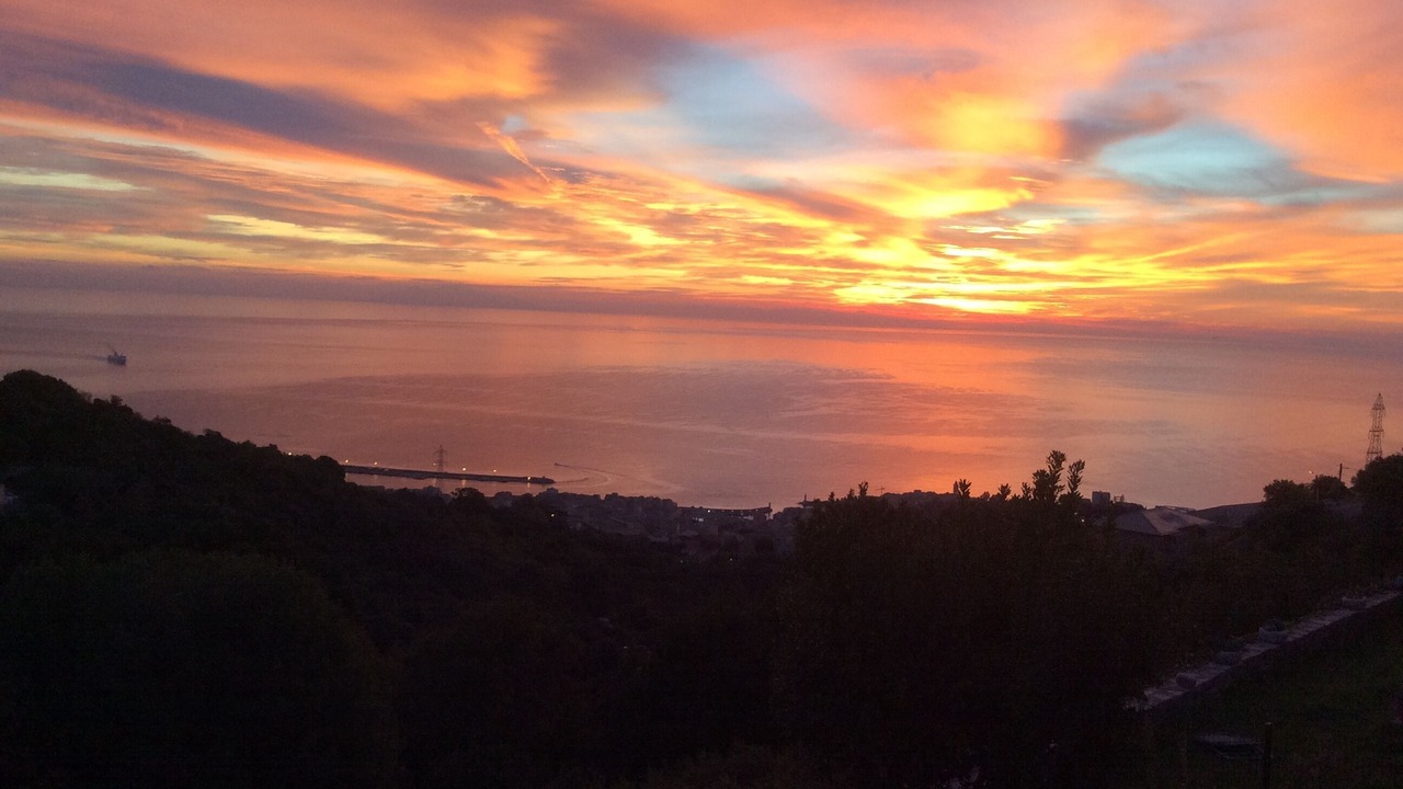 Photo of Others in Cardo