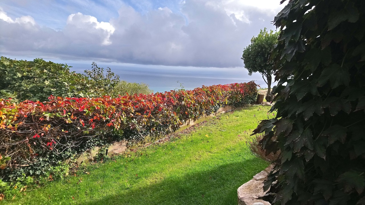 Photo of Outdoor in Cardo