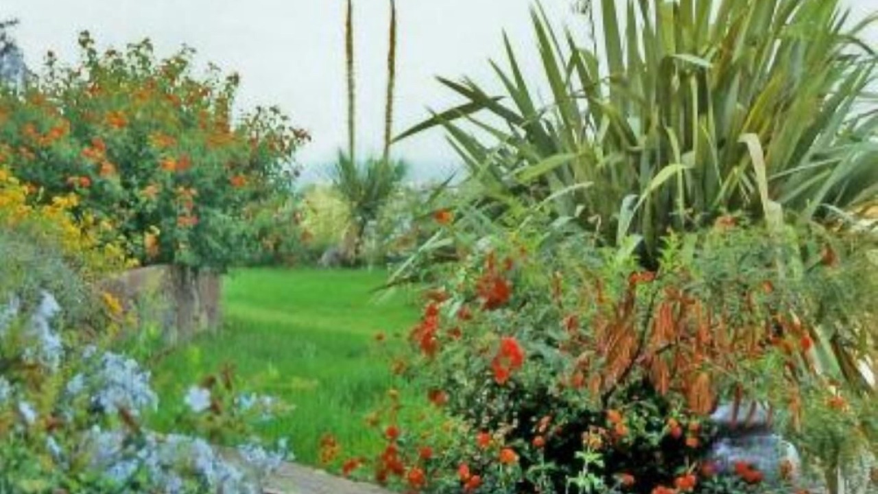 Photo of Outdoor in Calvi