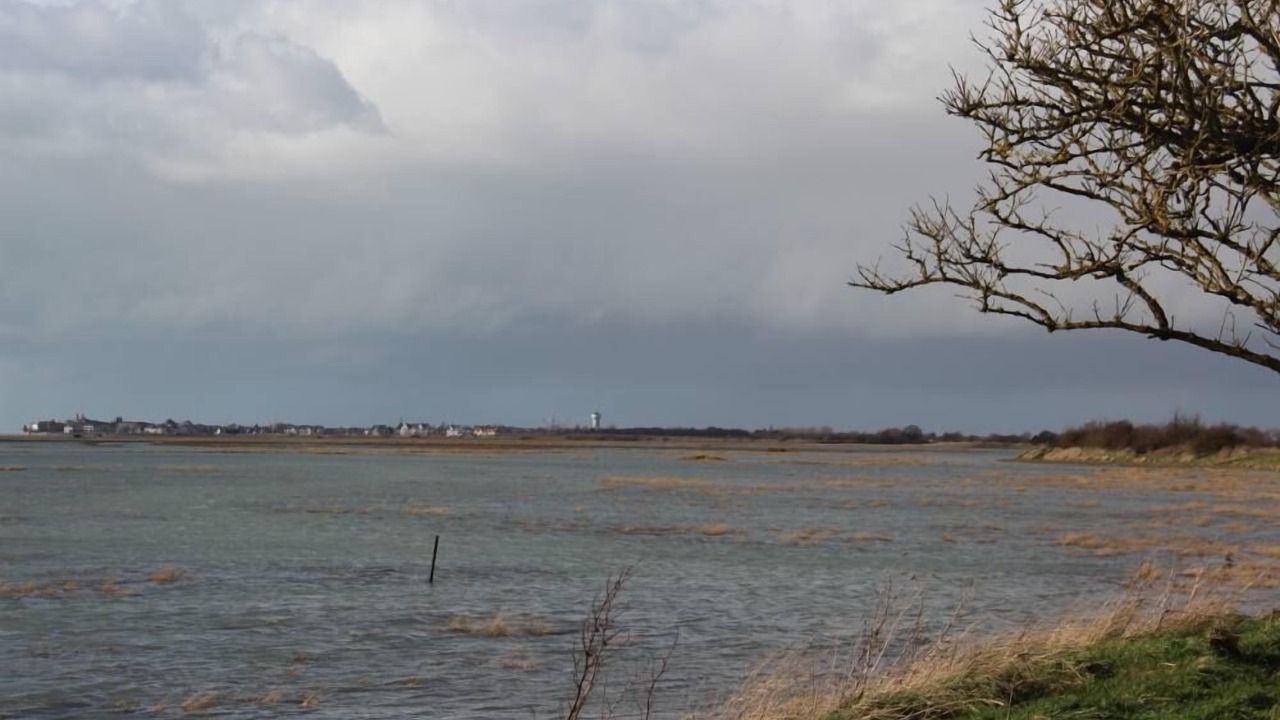 Photo of Others in Le Crotoy