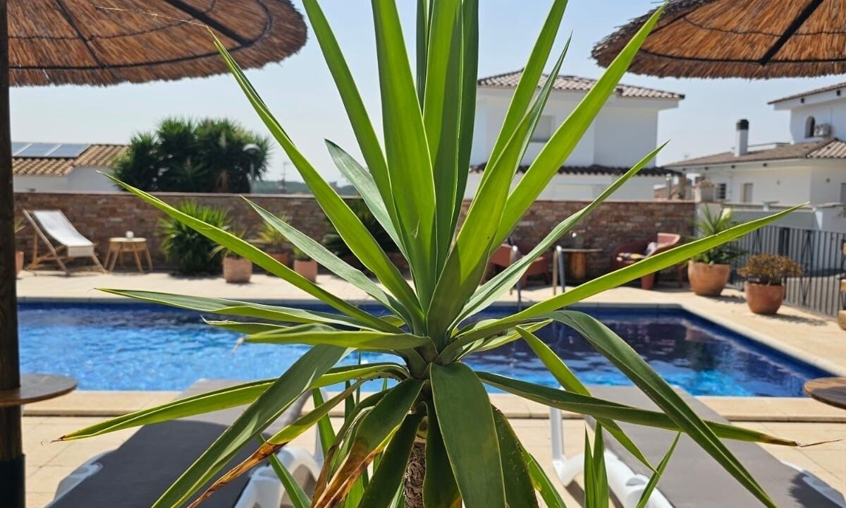 Photo of Outdoor in L'Escala